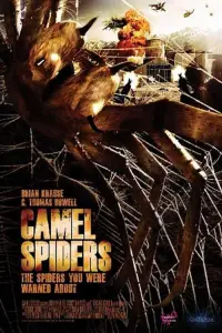 Poster to the movie "Camel Spiders" #1075451