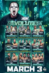 Poster to the movie "AEW: Revolution" #740226