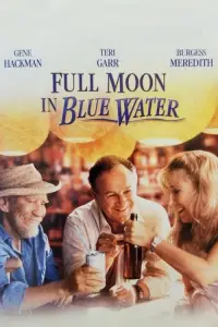 Poster to the movie "Full Moon in Blue Water" #958771