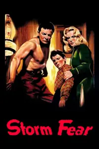 Poster to the movie "Storm Fear" #965693