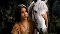 Backdrop to the movie "The NeverEnding Story" #233205