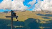 Backdrop to the movie "Above the World" #539208