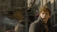 Backdrop to the movie "Fantastic Beasts: The Crimes of Grindelwald" #473157