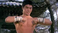 Backdrop to the movie "Guards of Shaolin" #865448