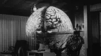 Backdrop to the movie "The Brain from Planet Arous" #1115826