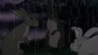 Backdrop to the movie "Watership Down" #714940