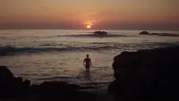 Backdrop to the movie "A Star Is Born" #782587