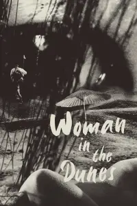 Poster to the movie "Woman in the Dunes" #976812