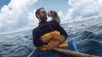 Backdrop to the movie "Pets" #739369