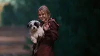 Backdrop to the movie "Bridge to Terabithia" #834035