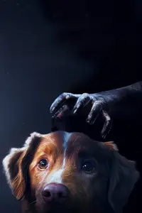 Poster to the movie "Good Boy" #867352