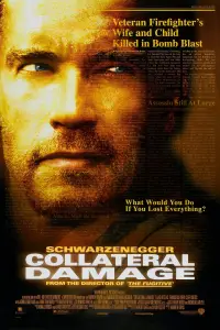 Poster to the movie "Collateral Damage" #948294
