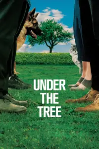 Poster to the movie "Under the Tree" #1141624