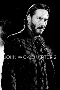 Poster to the movie "John Wick: Chapter 2" #740225