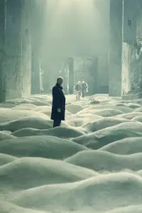 Poster to the movie "Stalker" #734116