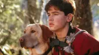 Backdrop to the movie "Far from Home: The Adventures of Yellow Dog" #882060