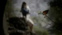 Backdrop to the movie "Butterfly" #891433