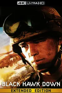 Poster to the movie "Black Hawk Down" #930644