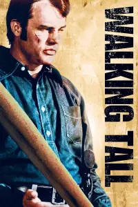 Poster to the movie "Walking Tall" #985935