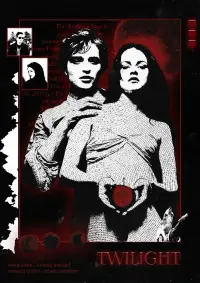 Poster to the movie "Twilight" #1122212