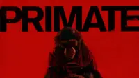 Backdrop to the movie "Primate" #1019129