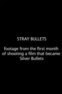 Poster to the movie "Stray Bullets" #725147