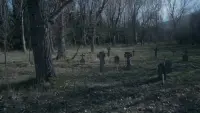 Backdrop to the movie "Vampyres" #831488