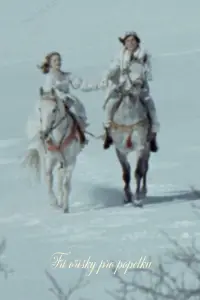 Poster to the movie "Three Wishes for Cinderella" #1130901