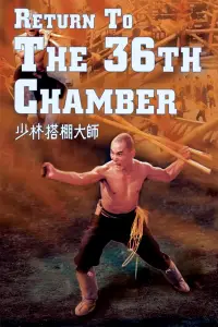 Poster to the movie "Return to the 36th Chamber" #978732