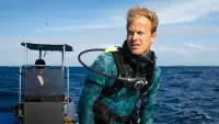 Backdrop to the movie "Dolphins Up Close with Bertie Gregory" #869761
