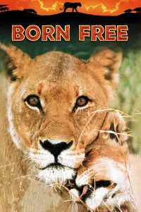 Poster to the movie "Born Free" #987609