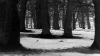 Backdrop to the movie "Persona" #806851