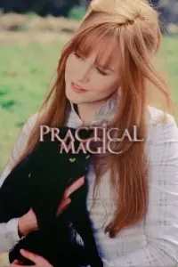 Poster to the movie "Practical Magic" #804886