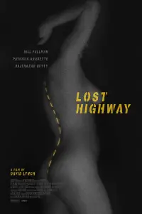 Poster to the movie "Lost Highway" #533702