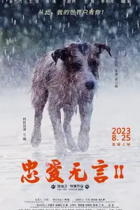 Poster to the movie "Loyalty without words 2" #842584