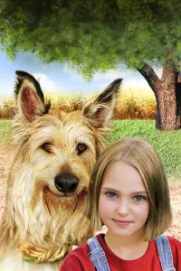 Poster to the movie "Because of Winn-Dixie" #750112