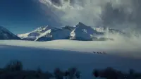 Backdrop to the movie "The Hateful Eight" #803988