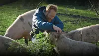 Backdrop to the movie "I Could Never Go Vegan" #729642