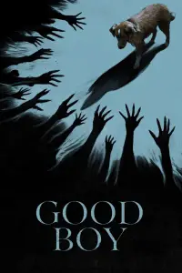 Poster to the movie "Good Boy" #899274