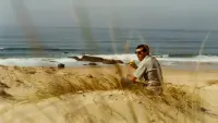 Backdrop to the movie "Birth of The Endless Summer: Discovery of St.Francis" #858615