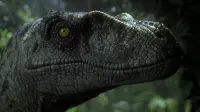Backdrop to the movie "Jurassic Park III" #740392