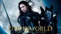 Backdrop to the movie "Underworld: Rise of the Lycans" #943520