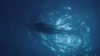 Backdrop to the movie "Jaws" #832267