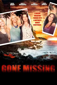 Poster to the movie "Gone Missing" #986586
