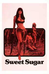 Poster to the movie "Sweet Sugar" #634622