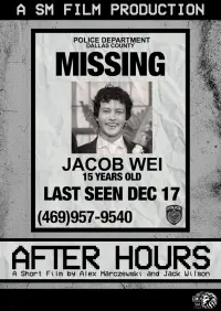 Poster to the movie "After Hours" #752865