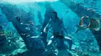 Backdrop to the movie "Avatar: The Way of Water" #520620