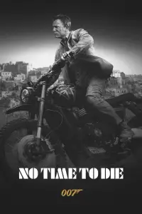 Poster to the movie "No Time to Die" #913480