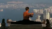Backdrop to the movie "Bloodsport" #753464