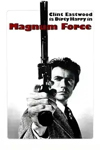 Poster to the movie "Magnum Force" #945566